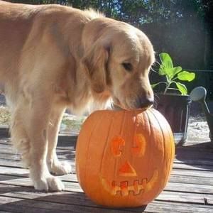 Meet your Posher, Kathleen